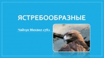 Презентация по биологии на тему: Отряд Ястребообразные (7 класс)