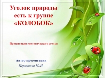 Презентация экологического уголка в подготовительной к школе группе