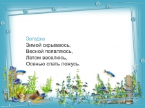 Презентация к уроку математики в 5 классе на тему:Задачи на движение