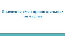 Изменение имен прилагательных по числам