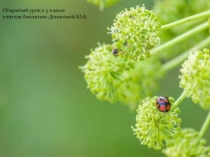 Презентация по биологии Среды обитания (5 класс)