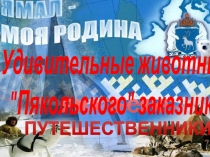 Классный час Ямальские путешественники