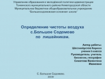 Определение чистоты воздуха с Большое Содомово по лишайникам