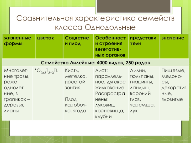 Презентация на тему класс однодольные 6 класс