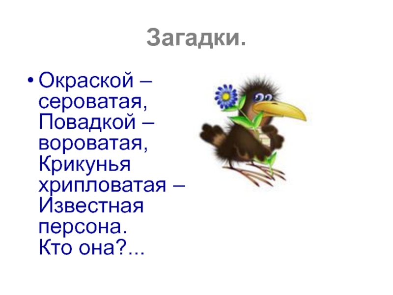 Рифма к слову ворона. Загадка окраска сероватая повадкой вороватая. Загадка окраской сероватая повадкой вороватая крикунья хрипловатая. Ворона этимология. Проект слова ворона.