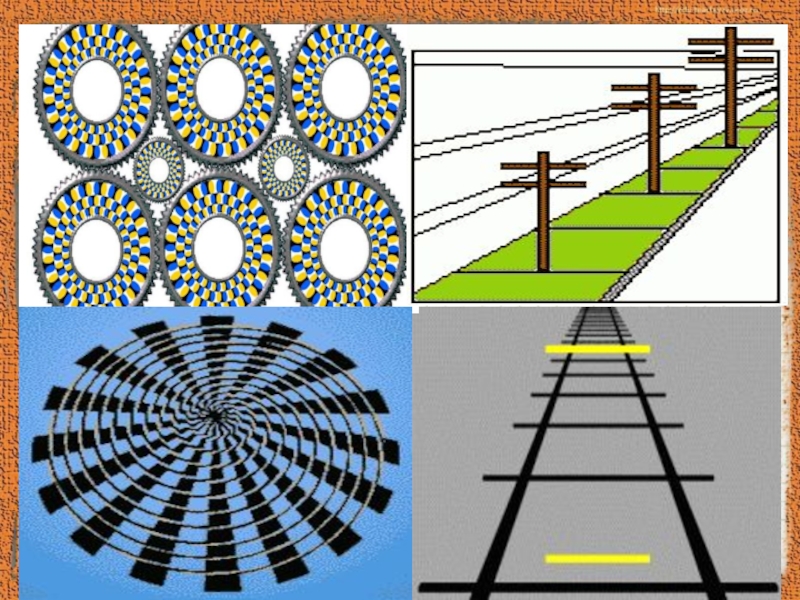 Оптические иллюзии физика проект