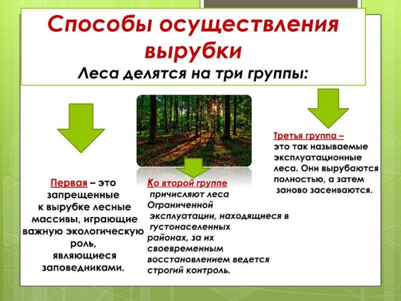 Три группы лесов. Способы осуществления вырубки леса. Вырубка лесов презентация. К чему приводит вырубка лесов. Последствия вырубки лесов схема.