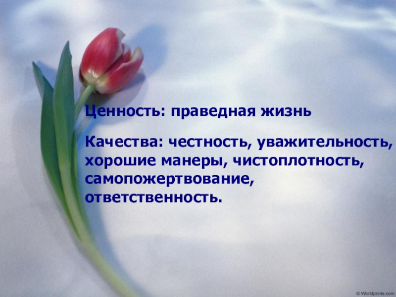 Праведная жизнь это. Что такое праведные качества. Ценности и качества по самопознанию. Притча на ценность праведное поведение. Качество учителя самопожертвование.