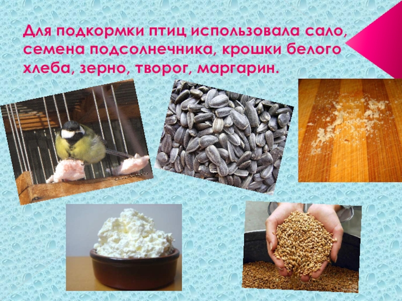 почему птицам нельзя хлеб. можно ли птицам крошки белого хлеба. птиц нельзя кормить хлебом. семена для птиц зимой. корм для зимующих птиц.