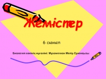 Презентация биология пәнінен Жемістер