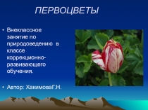 Внеклассное занятие по окружающему миру.