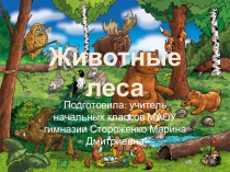животные леса.