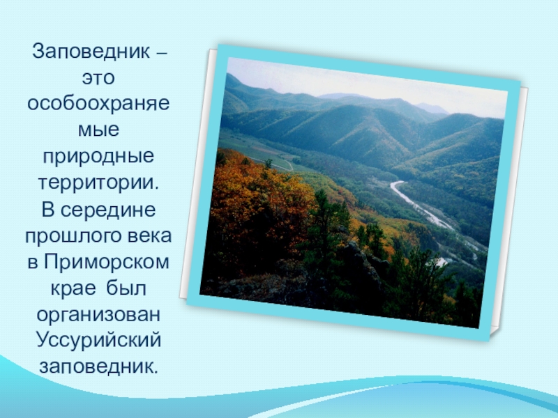 Какие заповедники находятся на территории приморского. Уссурийский заповедник презентация. Уссурийский заповедник презентация 8 класс. Презентация о Уссурийском заповеднике. Уссурийский государственный природный заповедник презентация.