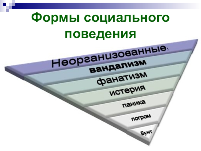 Модель социального поведения. Формы социального поведения. Виды социального поведения. Образцы социального поведения. Виды и формы социального поведения.