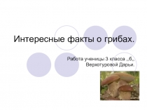 Презентация по окружающему миру  Интересные факты о грибах