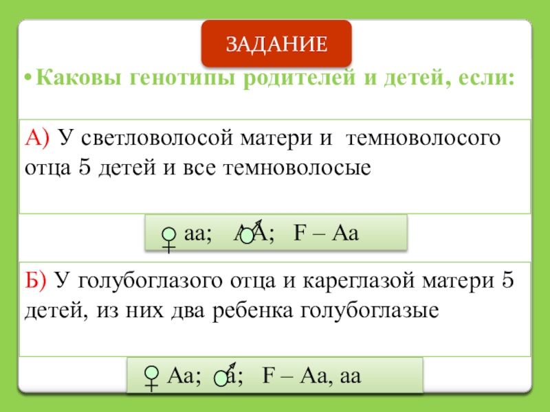 Генотип потомства от брака кареглазых гетерозиготных родителей. Каковы генотипы родителей. Генотип желтой окраски. Схема скрещивания кроликов. Каковы генотипы.