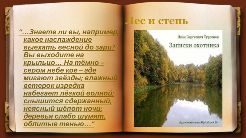 Записки охотника лес и степь краткое содержание. Тургенева лес и степь. Лес и степь Записки охотника. Лес и степь книга. Рассказ Тургенева лес и степь.