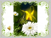 Презентация по татарскому языку на тему: Сыйфат