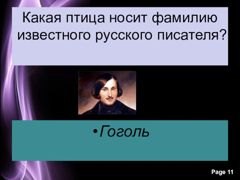 Носить фамилию. Птичьи фамилии. Какая птица носит фамилию известного русского писателя. Птичьи фамилии в литературе. Какая птица носит фамилию писателя.