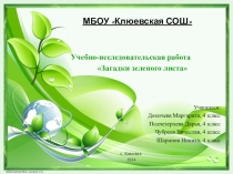Презентация исследовательской работы по теме:  Тайна зеленого листа