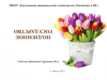 Презентация по биологии на тему: Видоизменения подземных побегов.