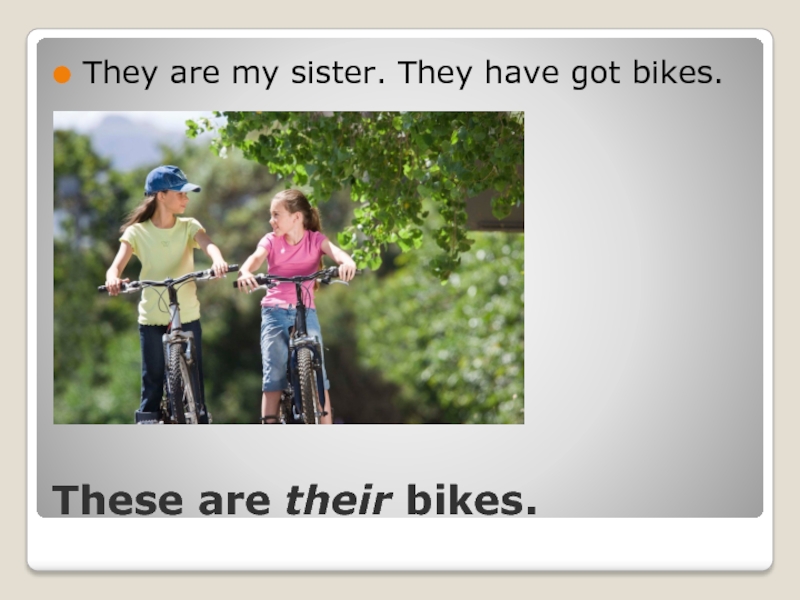 We got a bike. They have got a Bike?. Ive got a Bicycle аудио. We have got a Bike Bike is Grey.