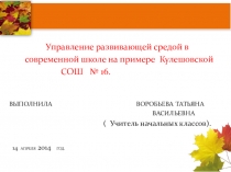 Проект Управление развивающей средой.