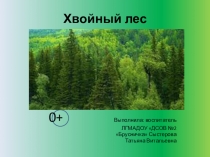 Хвойный лес(подготовительная группа)