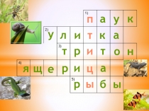 Презентация к уроку по окружающему миру Пернатые изобретатели