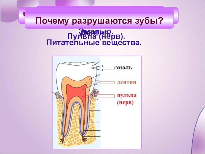 Почему зубы