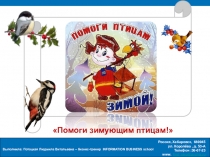 Как нам помочь птицам зимой?