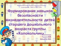 Презентация по ОБЖ: Формирование навыков безопасности жизнедеятельности детей старшего дошкольного возраста группы