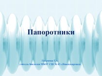 Презентация к уроку или внеклассному занятию Папоротники