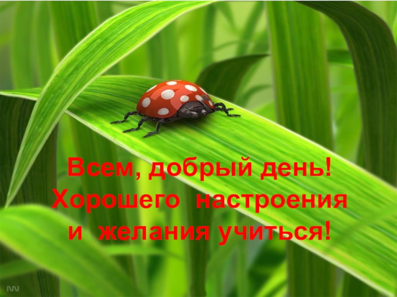 Наука о живой природе 13 букв. Биологической науки о насекомых. Годин Юрий Сергеевич учитель биологии. Добрый день картинки биология.