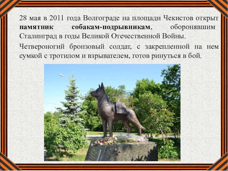 Где находится памятник собаке. Памятник собаке в Волгограде на площади Чекистов. Памятники собакам презентация. Сообщение о памятниках животных. Рассказ о памятнике собаке.