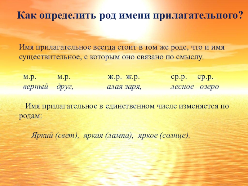 Прилагательное всегда. Определить род прилагательных. Как определить род имени прилагательного. Определить род прилагательного. Как определить род у прилагательных.