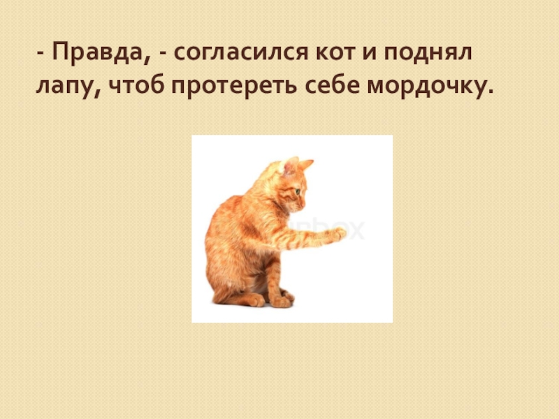 - Правда, - согласился кот и поднял лапу, чтоб протереть себе мордочку.