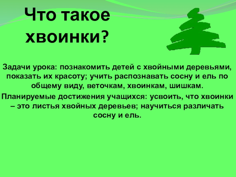 Что такое хвоинки презентация