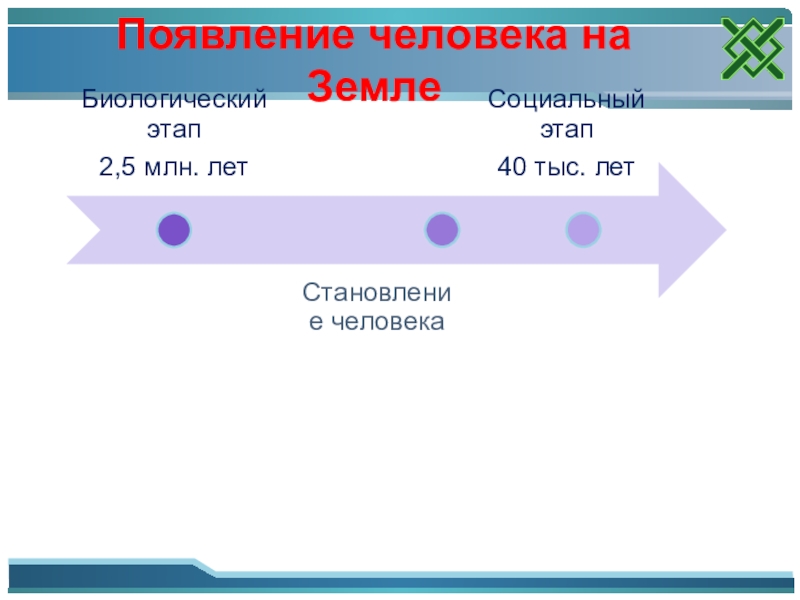 Загадка человека проект