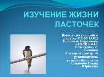 Презентация по биологии на тему Птицы