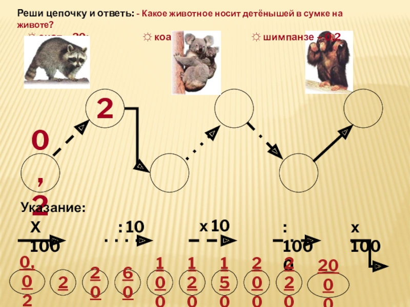 Решение цепочек. Цепочка решений. Решение Цепочки онлайн. Реши цепочку деление помочь коту пройти цепочку. Какого зверя 2012гою.