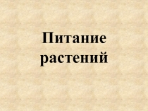 Презентация по биологии на тему Питание растений (6 класс)