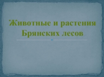 Заповедник Брянский лес для старшего и подготовительного возраста