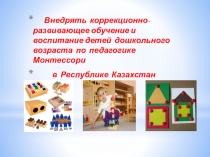 Внедрять коррекционно-развивающее обучение и воспитание детей дошкольного возраста по педагогике Монтессори в Республике Казахстан