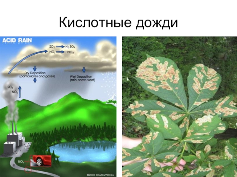 Кислотные дожди схема