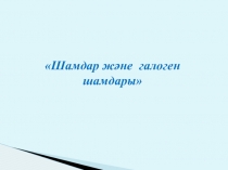 Шамдар және галоген шамдары