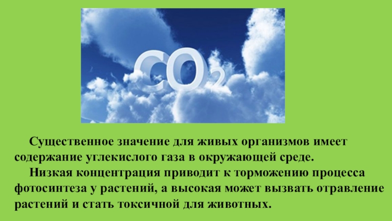 Углекислый газ 3 класс. Роль углекислого газа в природе. Роль углекислого газа в природе и жизни человека. Роль углекислого газа для человека. Значение углекислого газа для живых организмов.