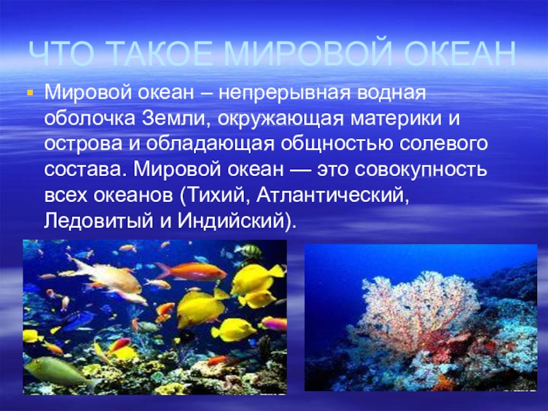 Приведите примеры современных проектов посвященных изучению мирового океана