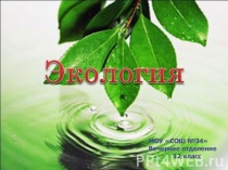 Презентация по биологии на тему Экология. Среда обитания организмов (12 класс)