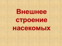 Презентация Внешнее строение насекомых